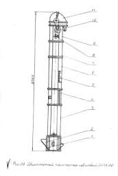 Image-20.JPG